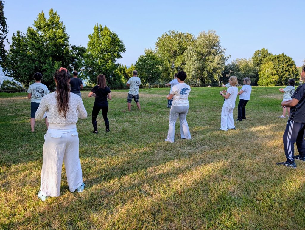 Clase grupal de Taichi y Qigong al aire libre en Vigo
